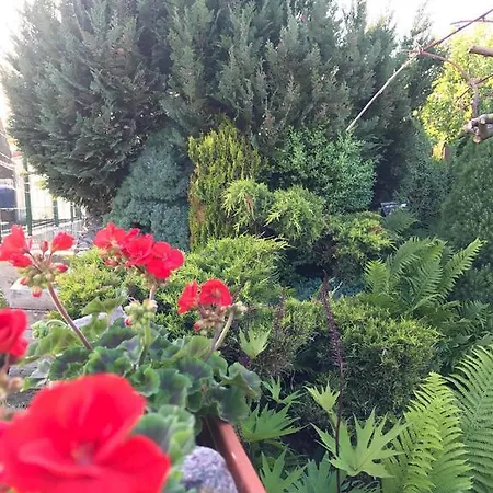 Neries Holiday Wooden Bungalow With All Area Just For You Palanga
